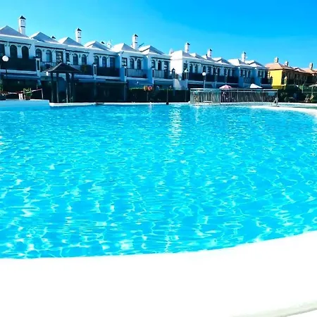 Palms & Pool Dunaflor Apartman