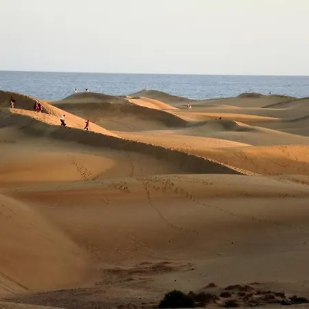 Palms & Pool Dunaflor *